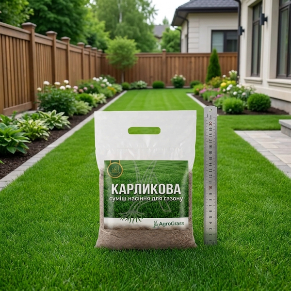 Карликова газонна трава AgroGrass 2208 фото Карликова газонна трава AgroGrass 2208 фото
