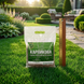 Карликова газонна трава AgroGrass 2208 фото 2