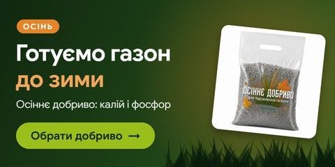 Осіннє добриво для газону: готуємо газон до зими