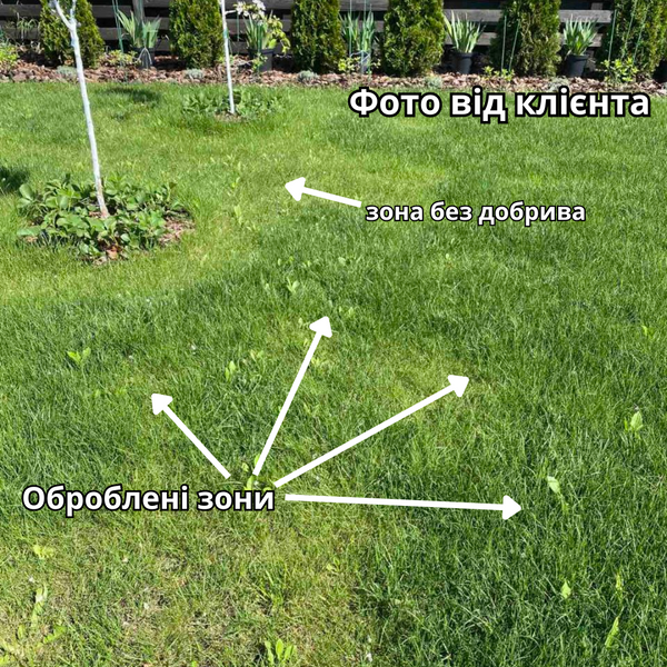 Удобрение для газона Весна-Лето GrassNature – для всех типов газона 1кг 1210 фото Удобрение для газона Весна-Лето GrassNature – для всех типов газона 1кг 1210 фото