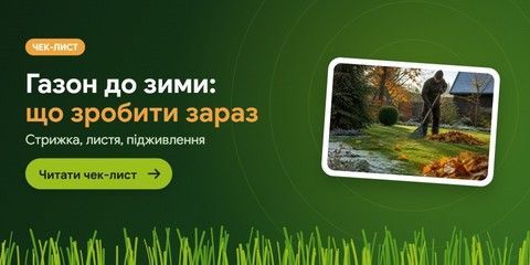 Підготовка газону до зими: чек-лист жовтня і листопада