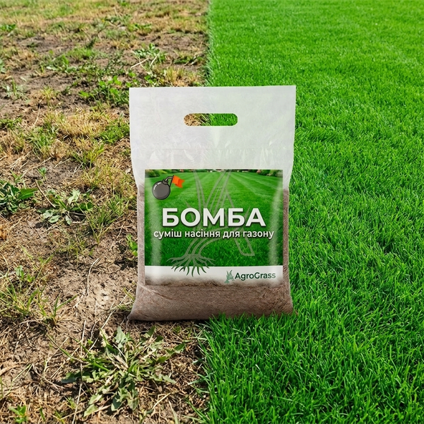 Газонна суміш БОМБА AgroGrass 2203 фото Газонна суміш БОМБА AgroGrass 2203 фото