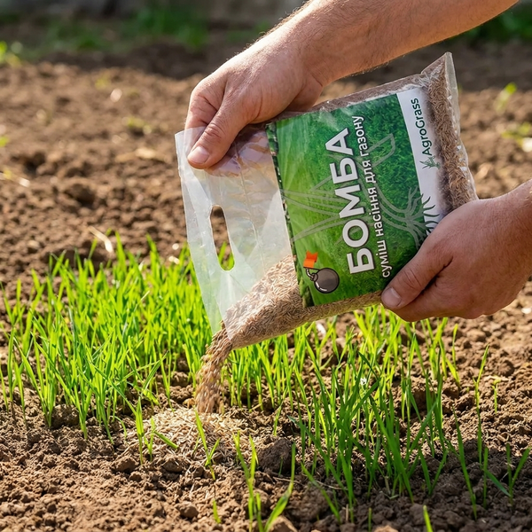 Газонна суміш БОМБА AgroGrass 2203 фото Газонна суміш БОМБА AgroGrass 2203 фото
