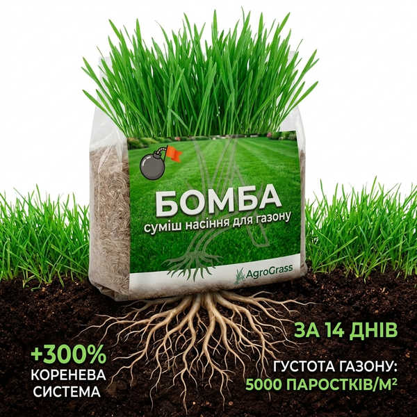 Газонна суміш БОМБА AgroGrass 2203 фото Газонна суміш БОМБА AgroGrass 2203 фото
