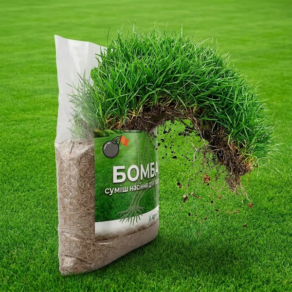 Газонна суміш БОМБА AgroGrass 2203 фото Газонна суміш БОМБА AgroGrass 2203 фото