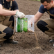 Газонна суміш БОМБА AgroGrass 2203 фото 4