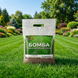 Газонна суміш БОМБА AgroGrass 2203 фото 2