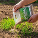 Газонна суміш БОМБА AgroGrass 2203 фото 5