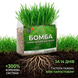 Газонна суміш БОМБА AgroGrass 2203 фото 7