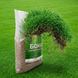 Газонна суміш БОМБА AgroGrass 2203 фото 6